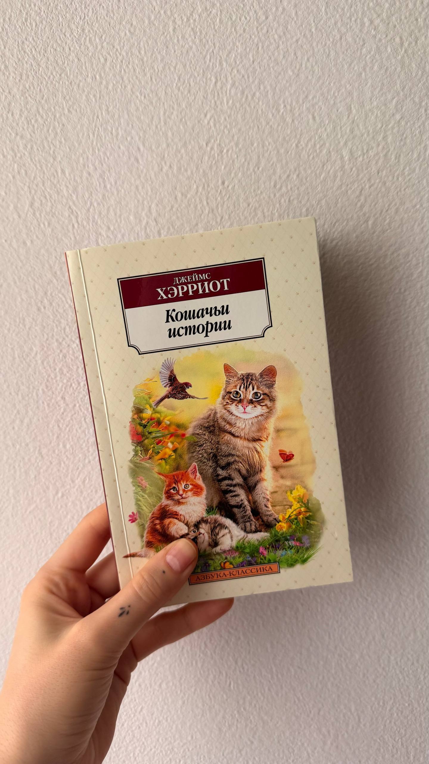 От саванны до дивана photo 2