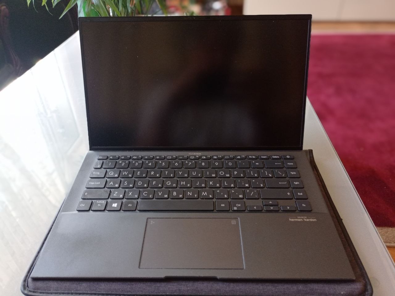 Asus Zenbook UX425