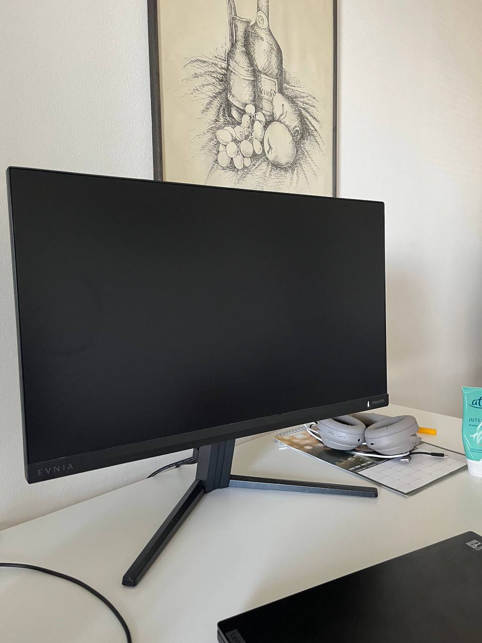 PHILIPS 23.8 inch Evnia Full HD