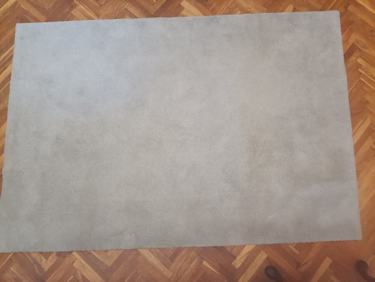 Naočare za čitanje K2402L INVU photo 4
