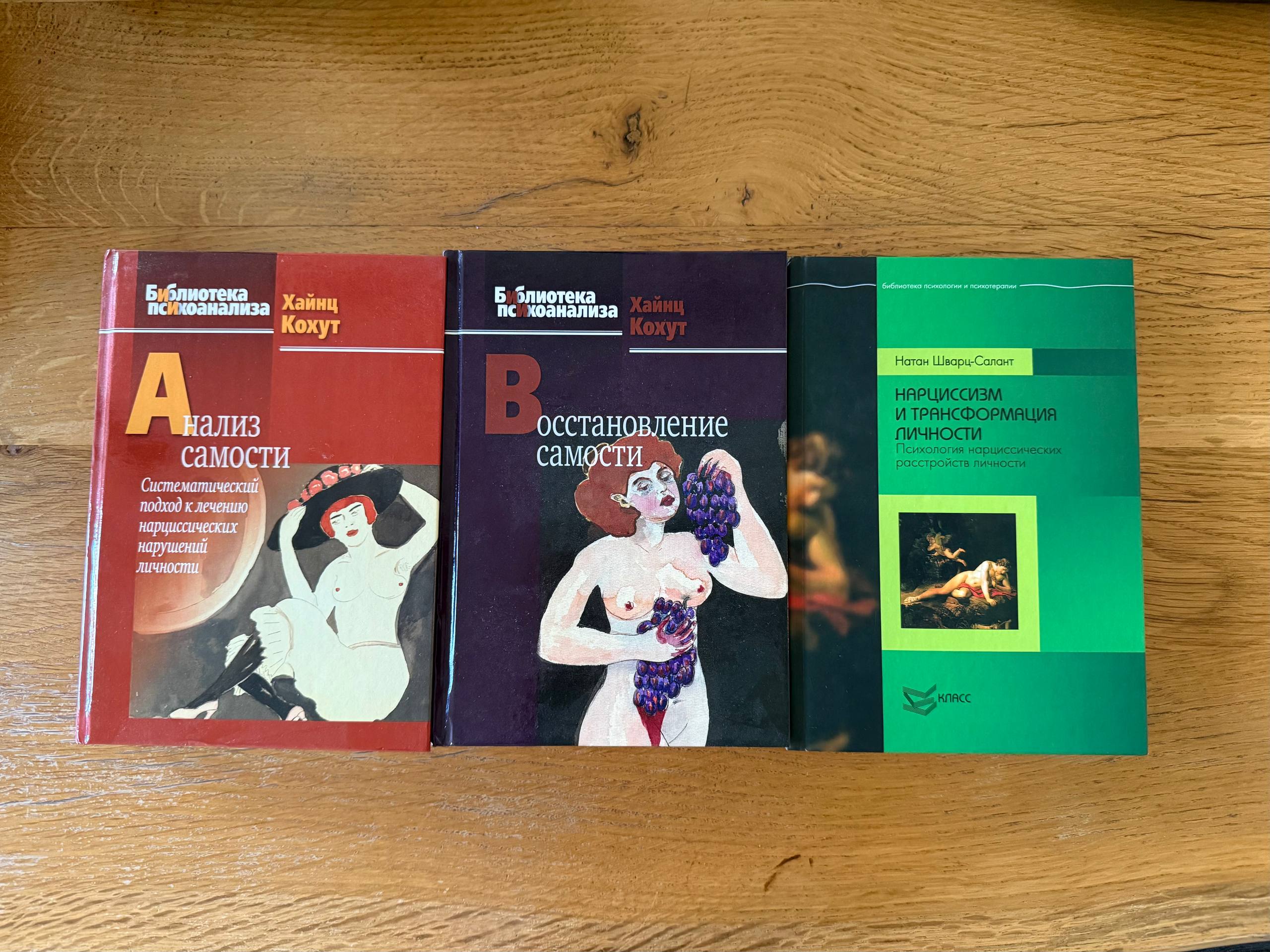 Profesionalna literatura o psihanalizi