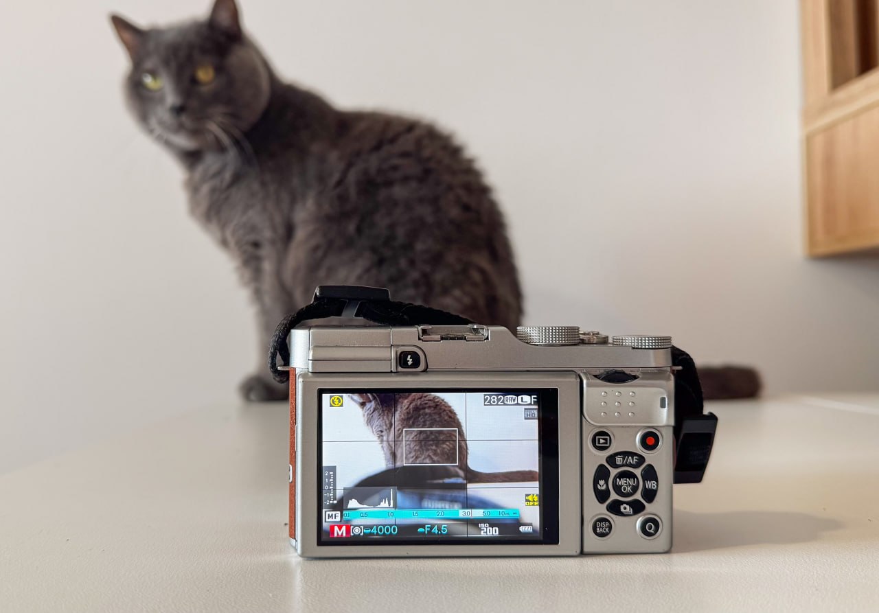 Fujifilm X-M1 with kit lens photo 3