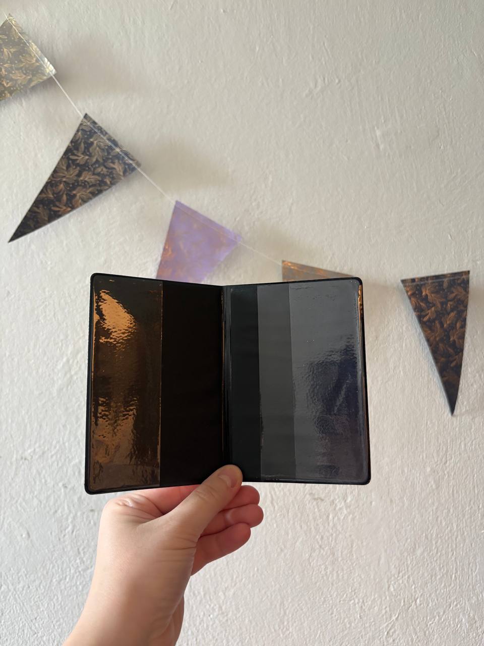 Passport cover photo 2