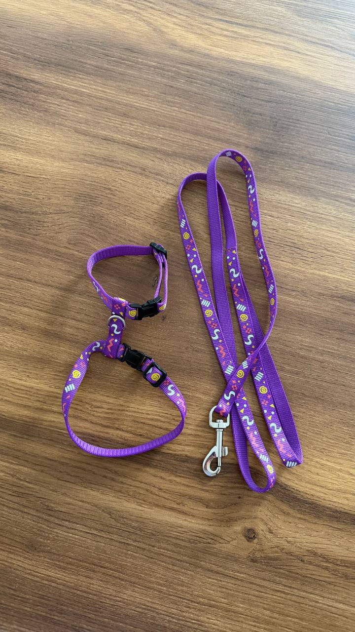 Harness and leash for a kitten