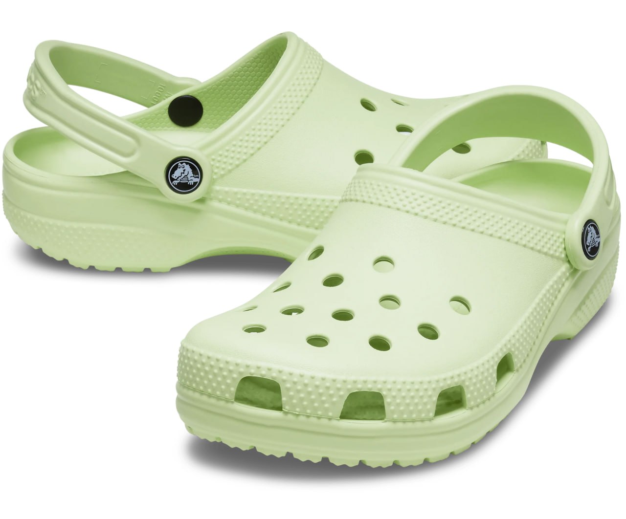 Croc Classic Clog