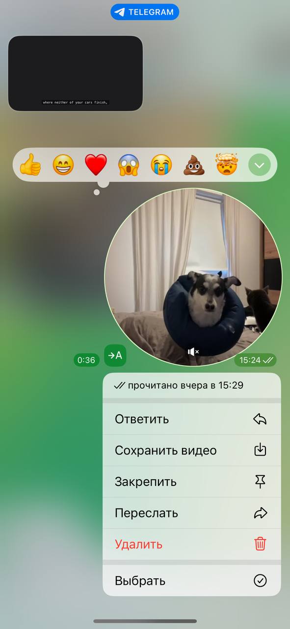Надувной ошейник photo 2