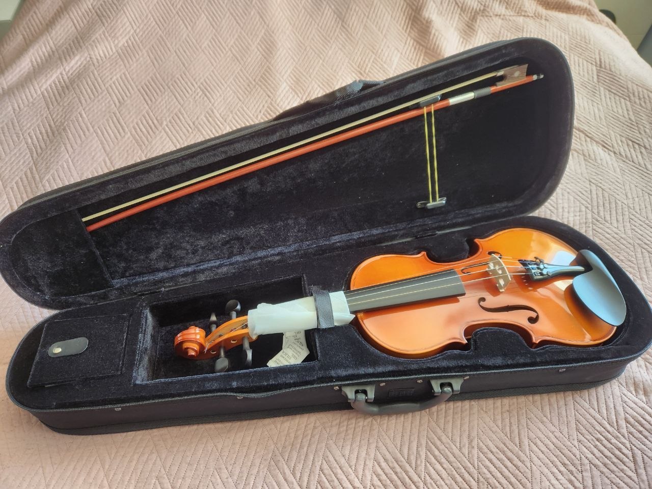 violin