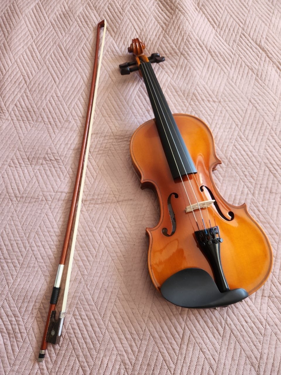 violin photo 2