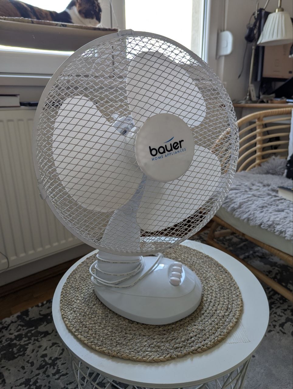 Namenski ventilator BRAUN