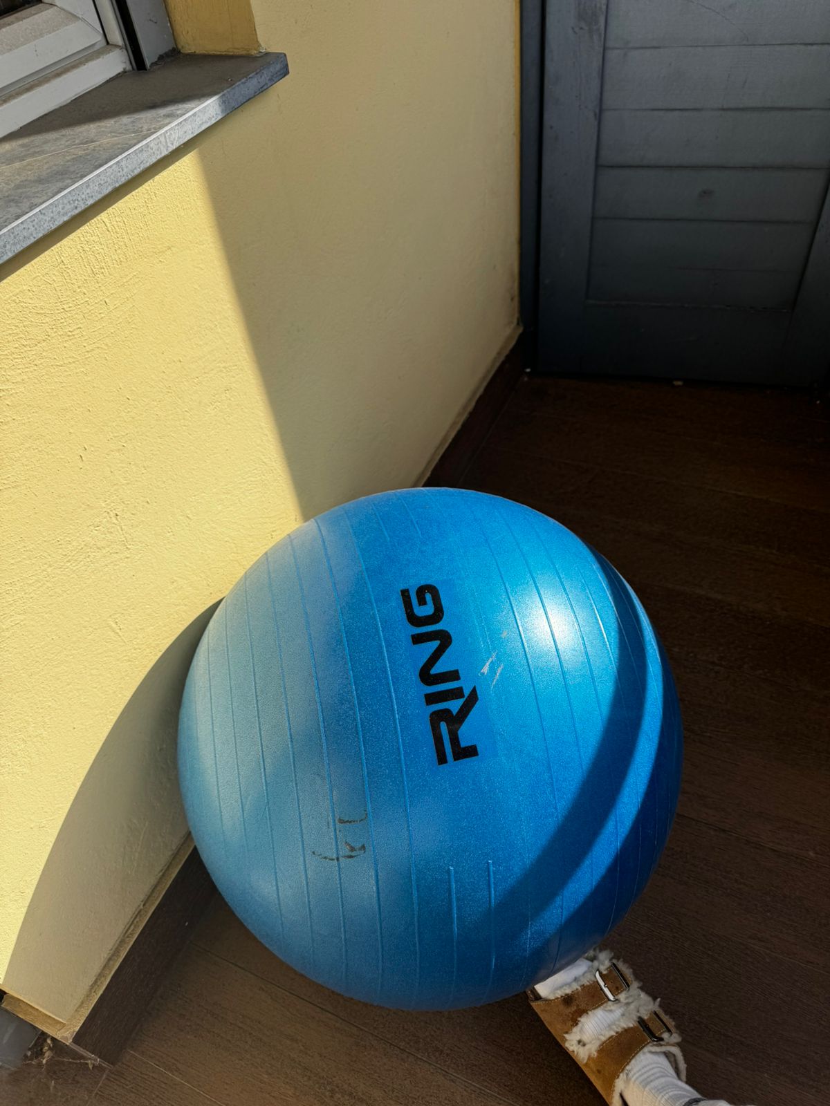Fitbol