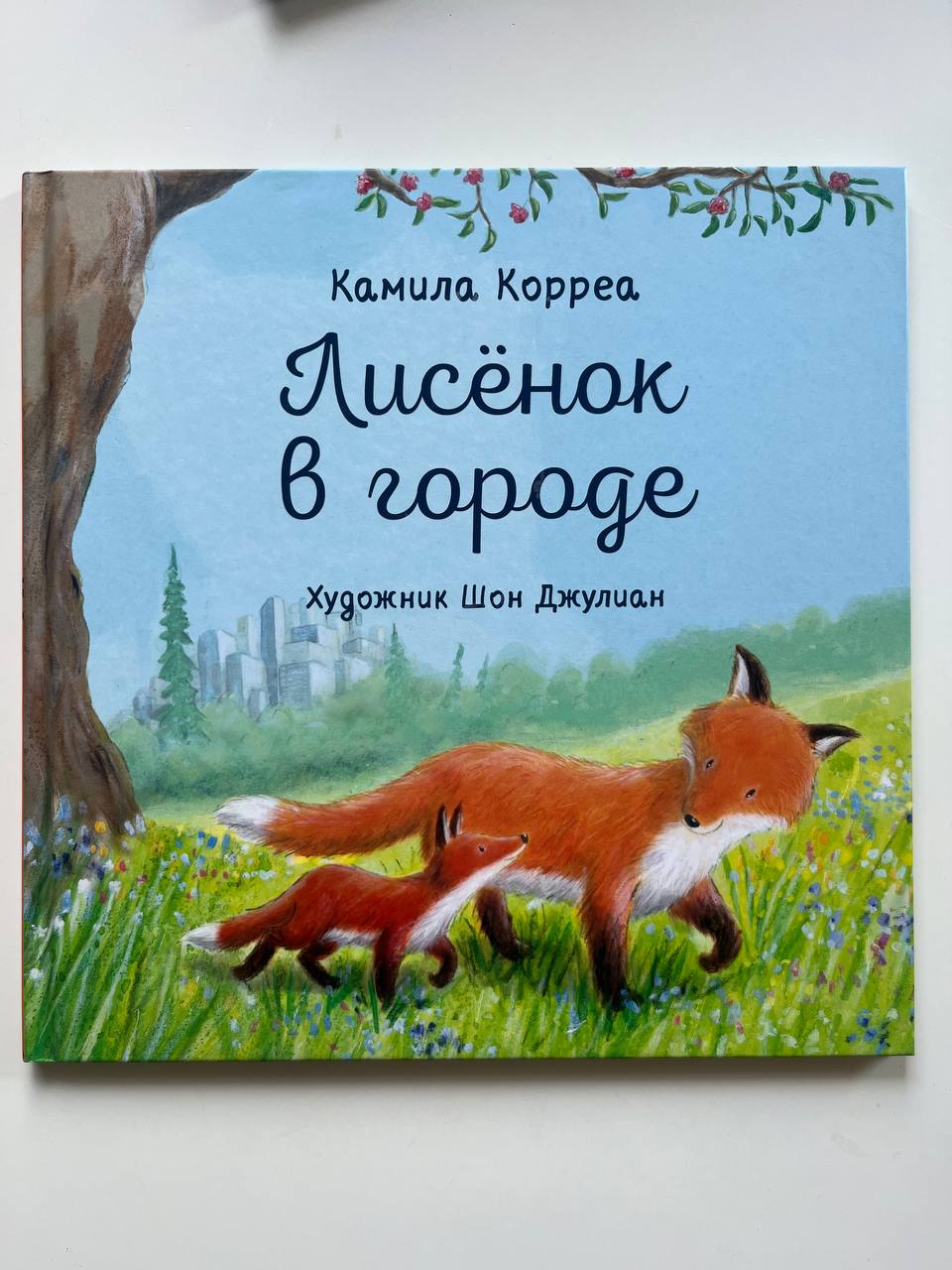 Књига «Зошица у граду»