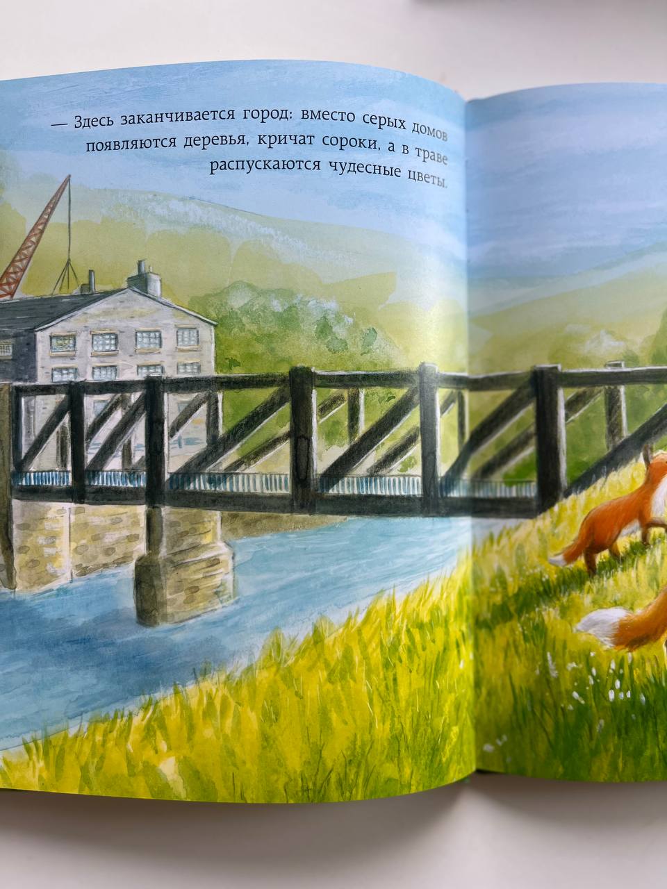 Књига «Зошица у граду» photo 3