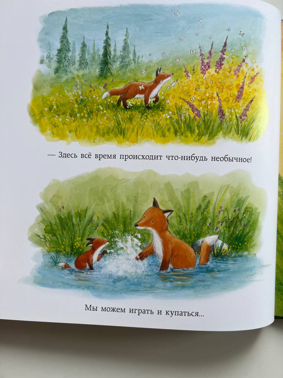 Књига «Зошица у граду» photo 4