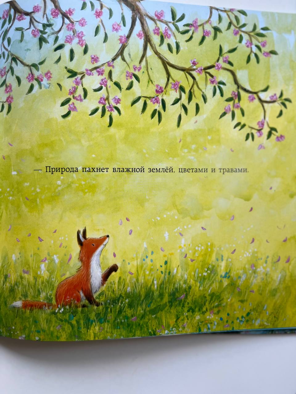 Књига «Зошица у граду» photo 5