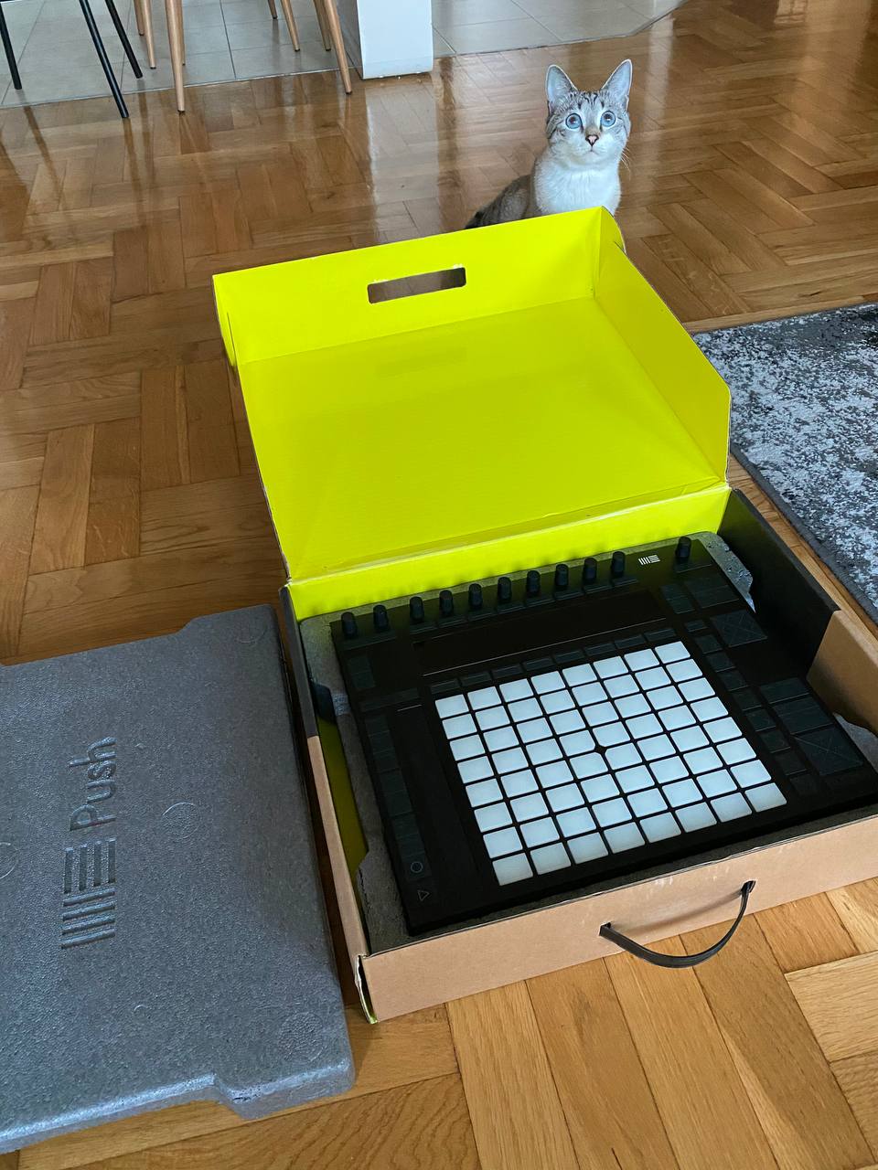 Ableton Push 2 photo 2