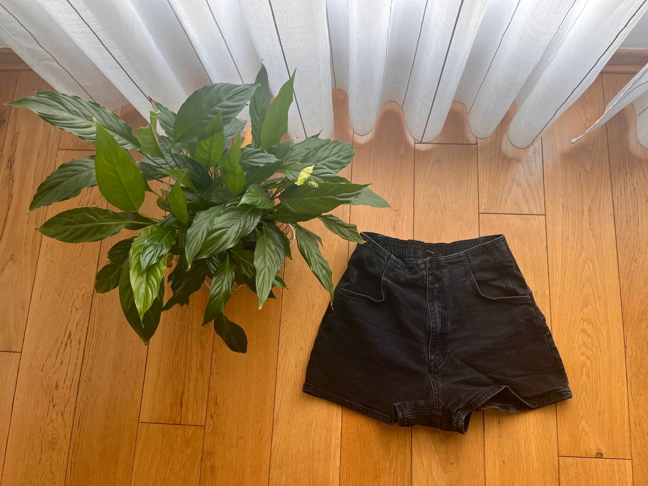 Denim shorts