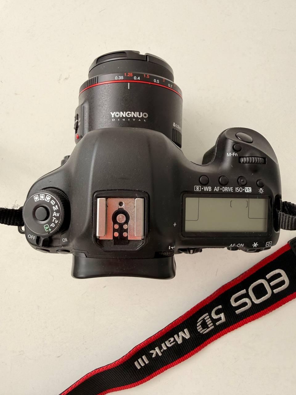 Canon EF 24–105mm f/4 L IS USM photo 7