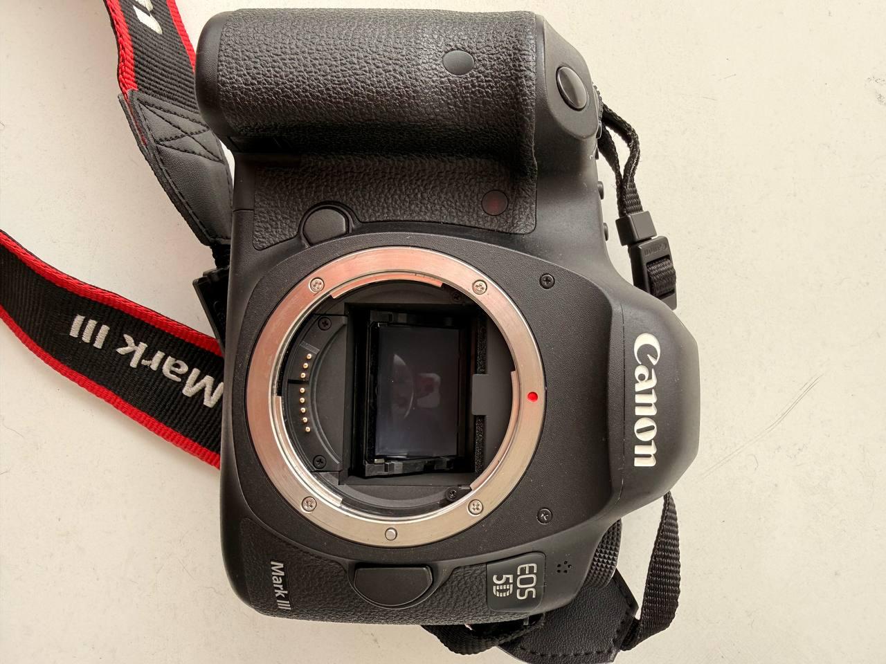 Canon EF 24–105mm f/4 L IS USM photo 8