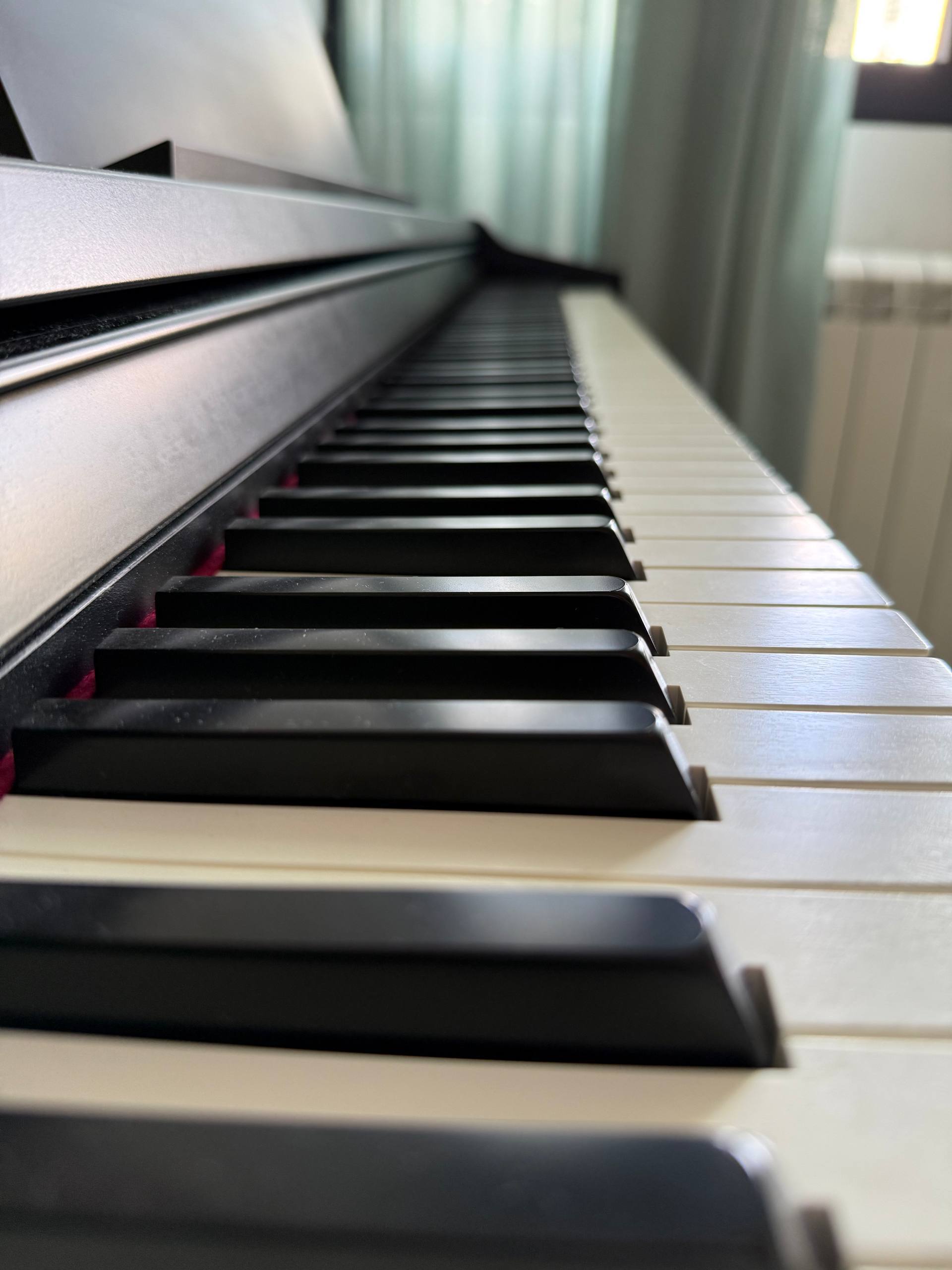 Roland RP107 photo 2