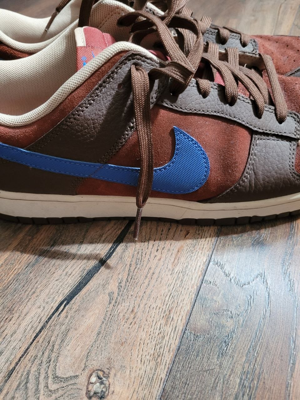 Nike Dunk Low Retro PRM