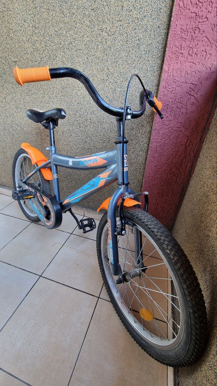 Велосипед за децу 20" Adria Rocker photo 2