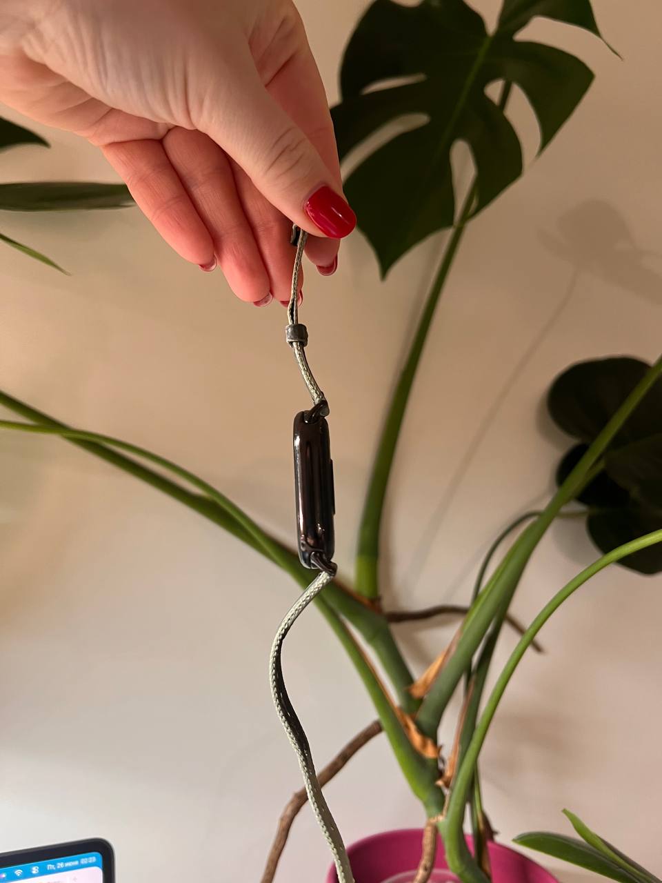 Xiaomi Smart Band 8 photo 2