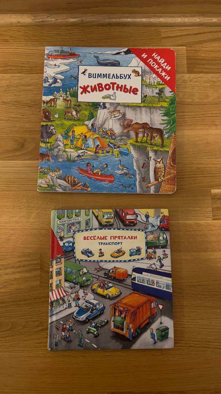 книги-виммельбуха