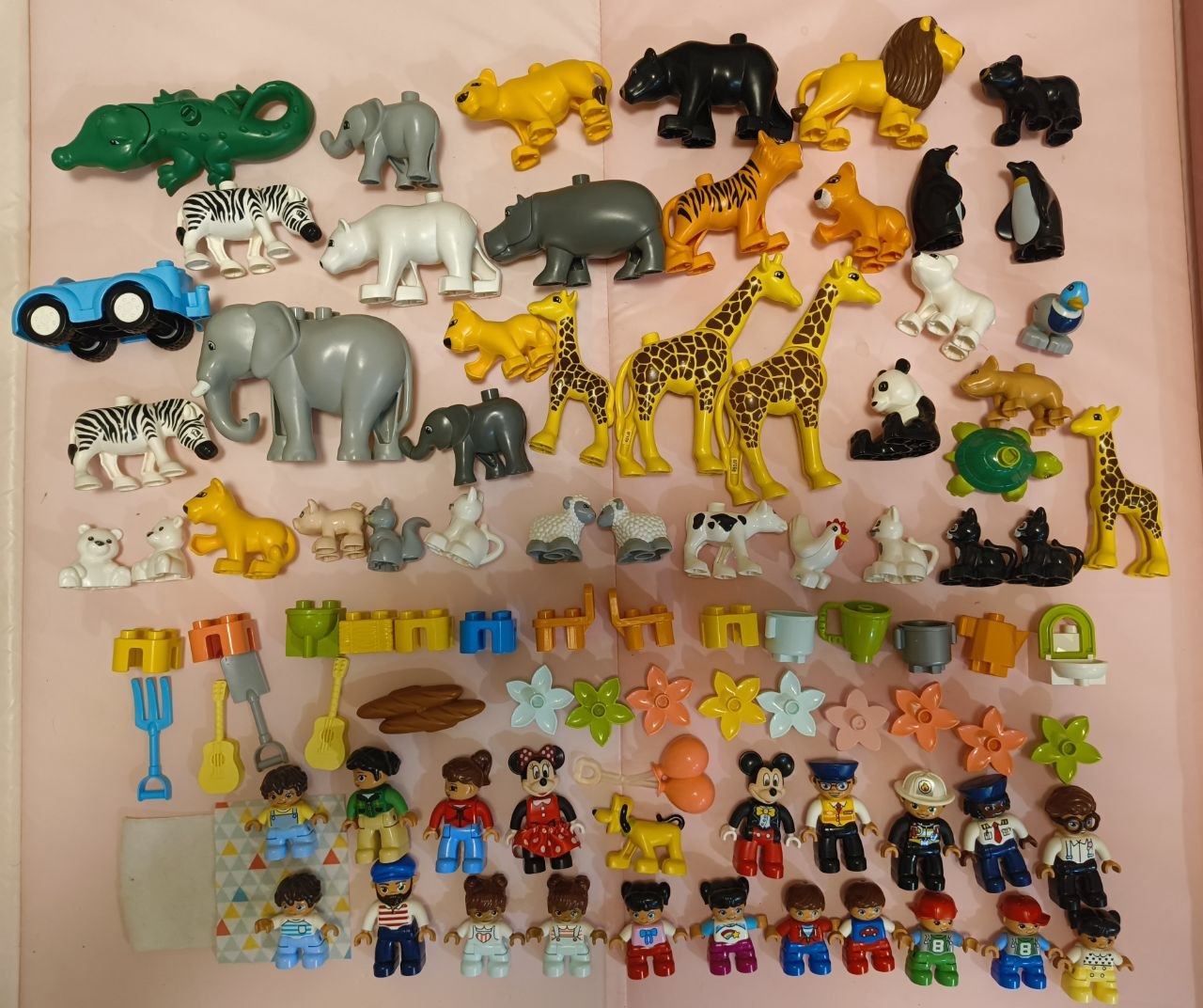 Lego Duplo photo 3