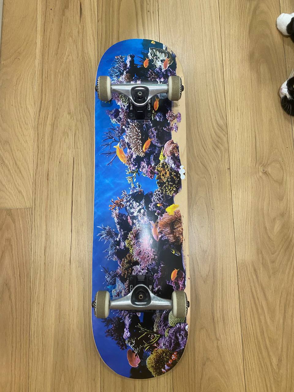 skateboard