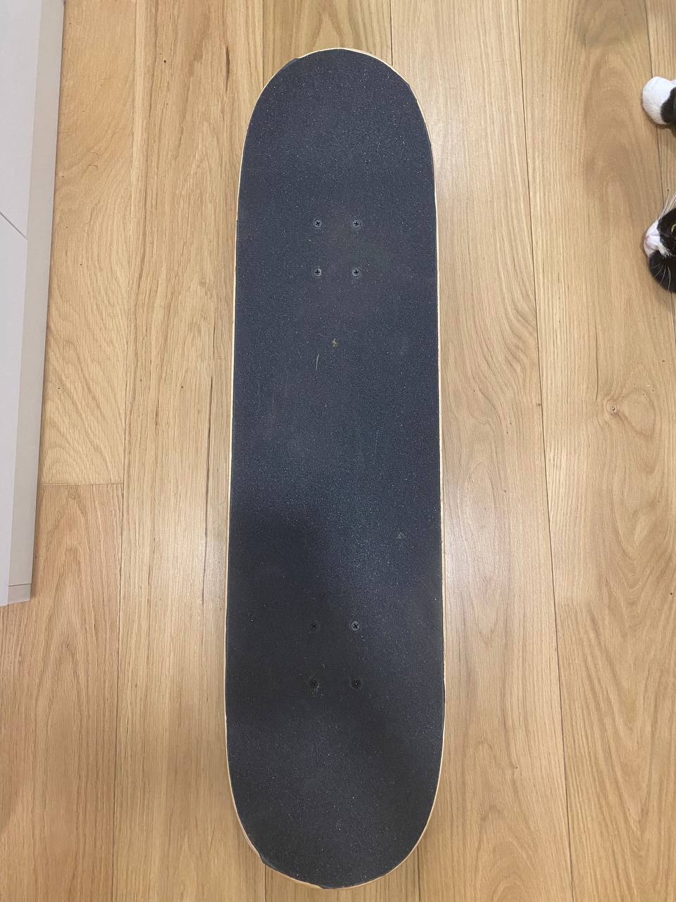 skateboard photo 2