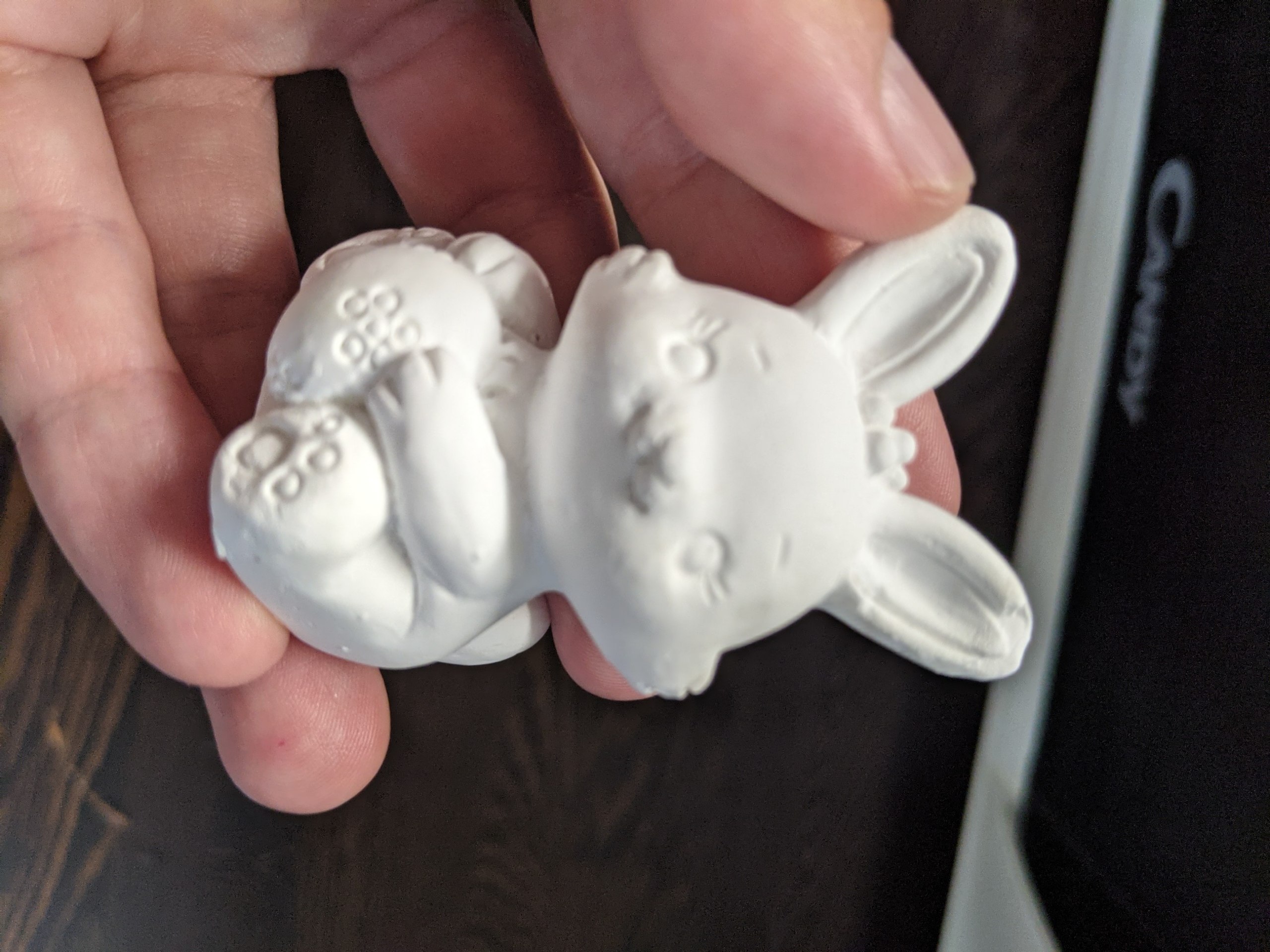 paints and bunny