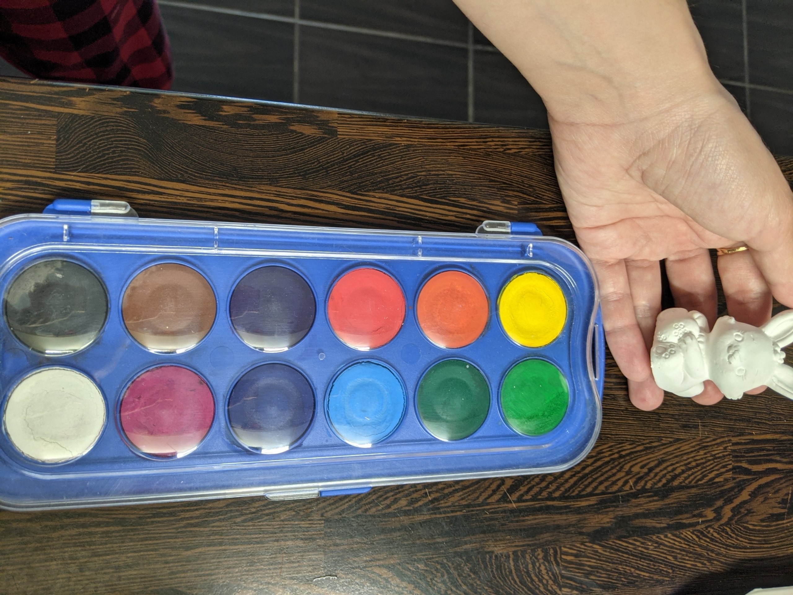 paints and bunny photo 2