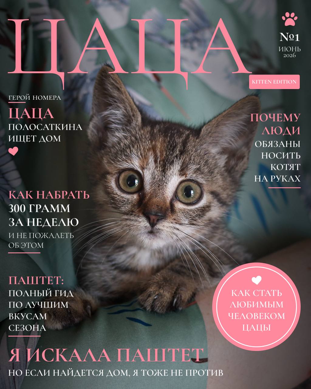 Mačka Tsatsa