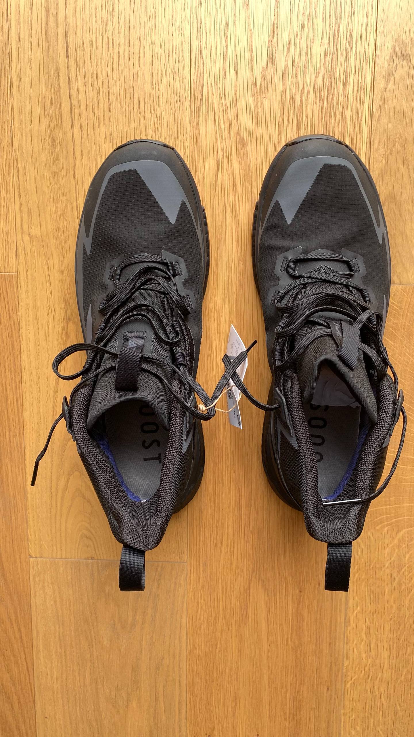 Adidas Terrex Free Hiker 2 GTX photo 4