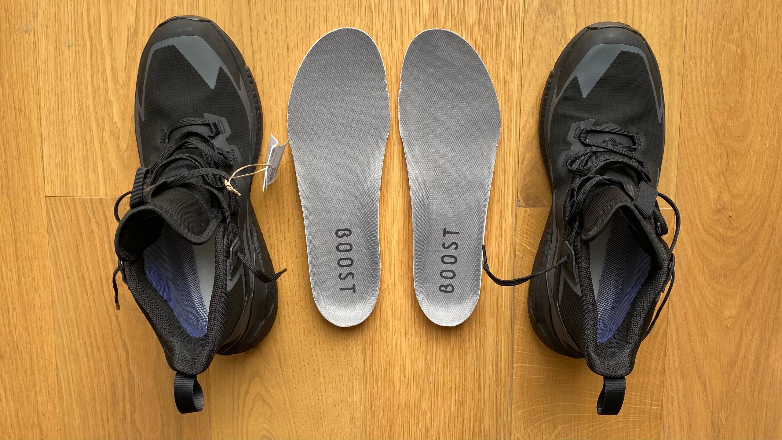 Adidas Terrex Free Hiker 2 GTX photo 5