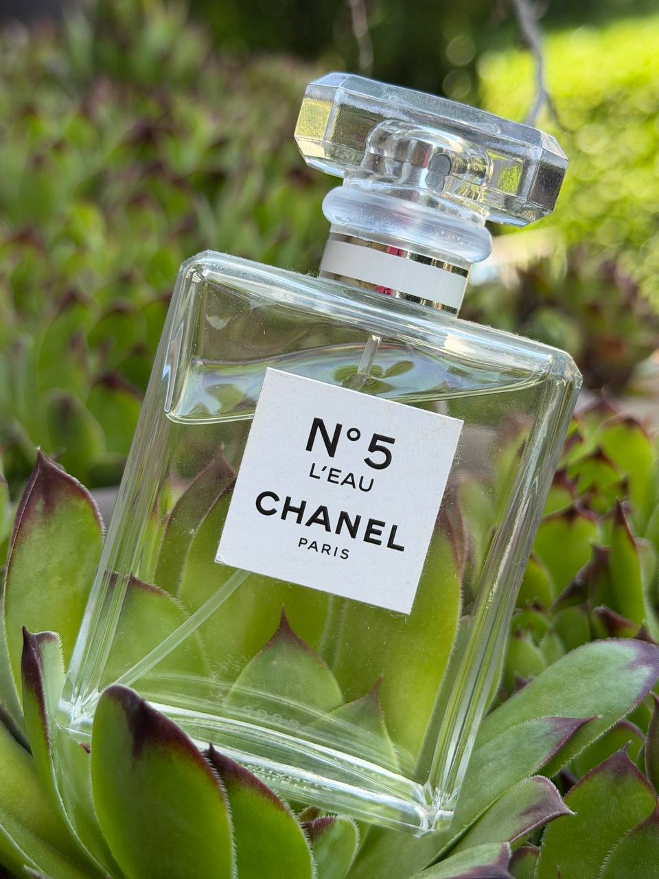 CHANEL N°5 L’EAU