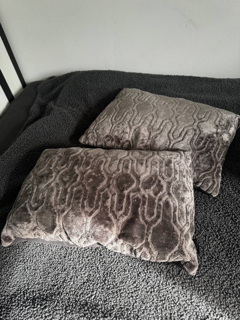 blanket photo 5