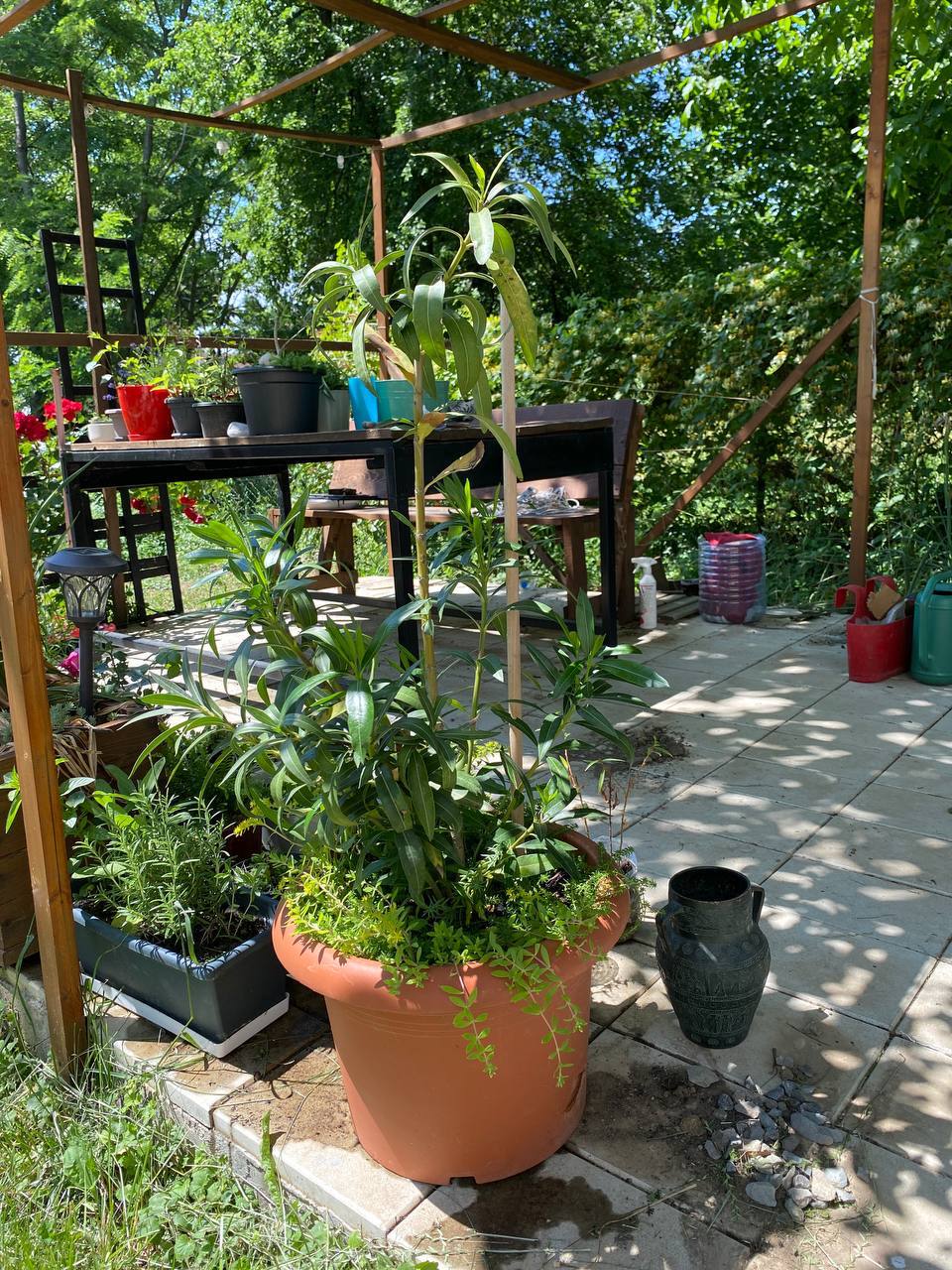 Veliki beli lonac photo 5