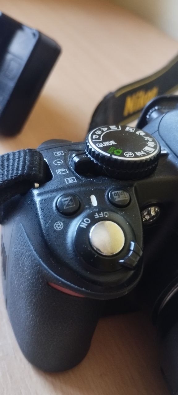 Nikon D3100