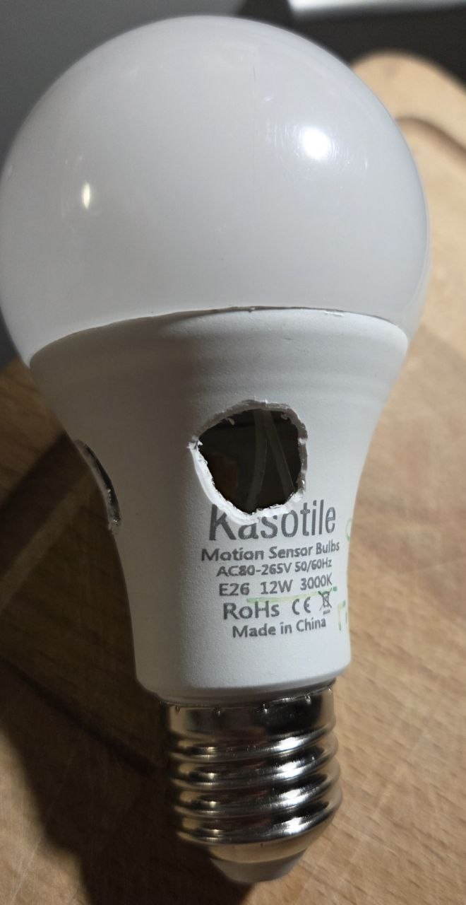 Motion Sensor Light Bulb