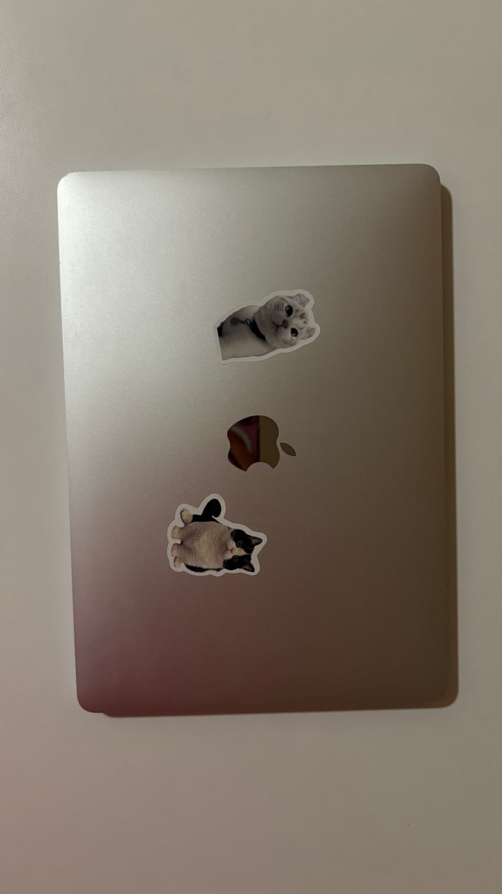 MacBook Pro 13 (2017) photo 4
