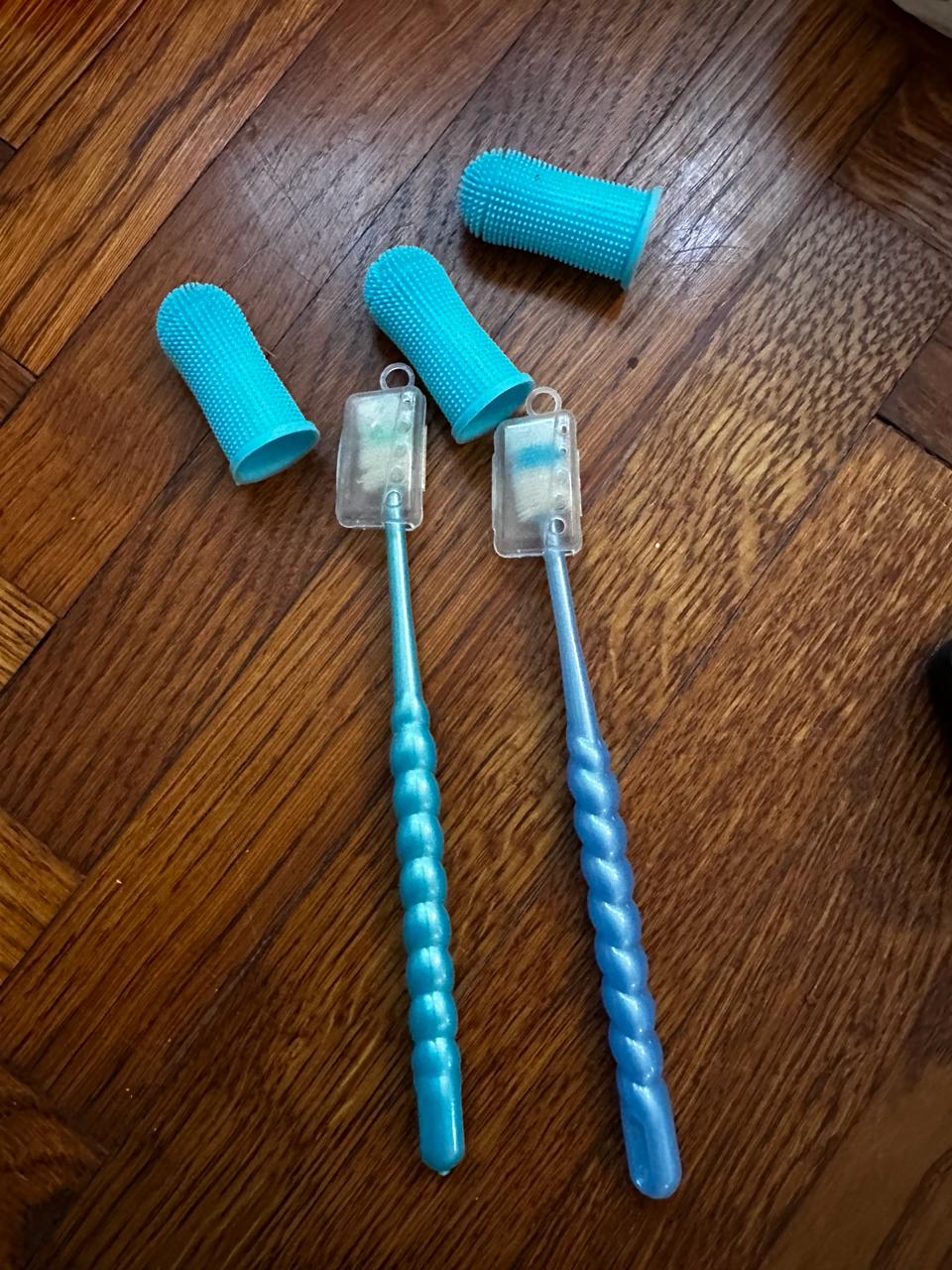 Set of bags for walks and holder