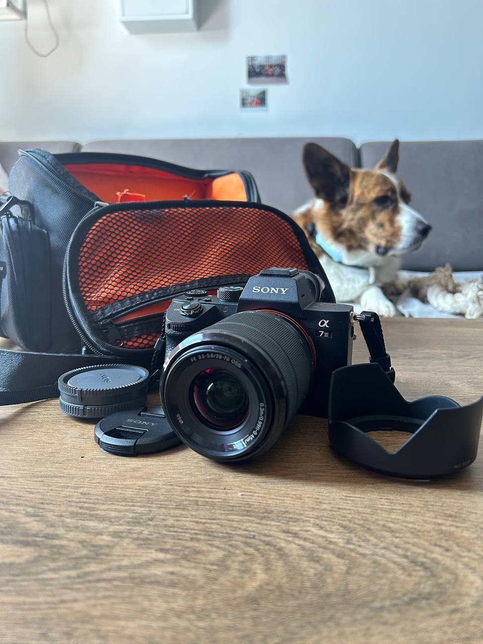 Sony A7 III (ILCE-7M3) photo 2
