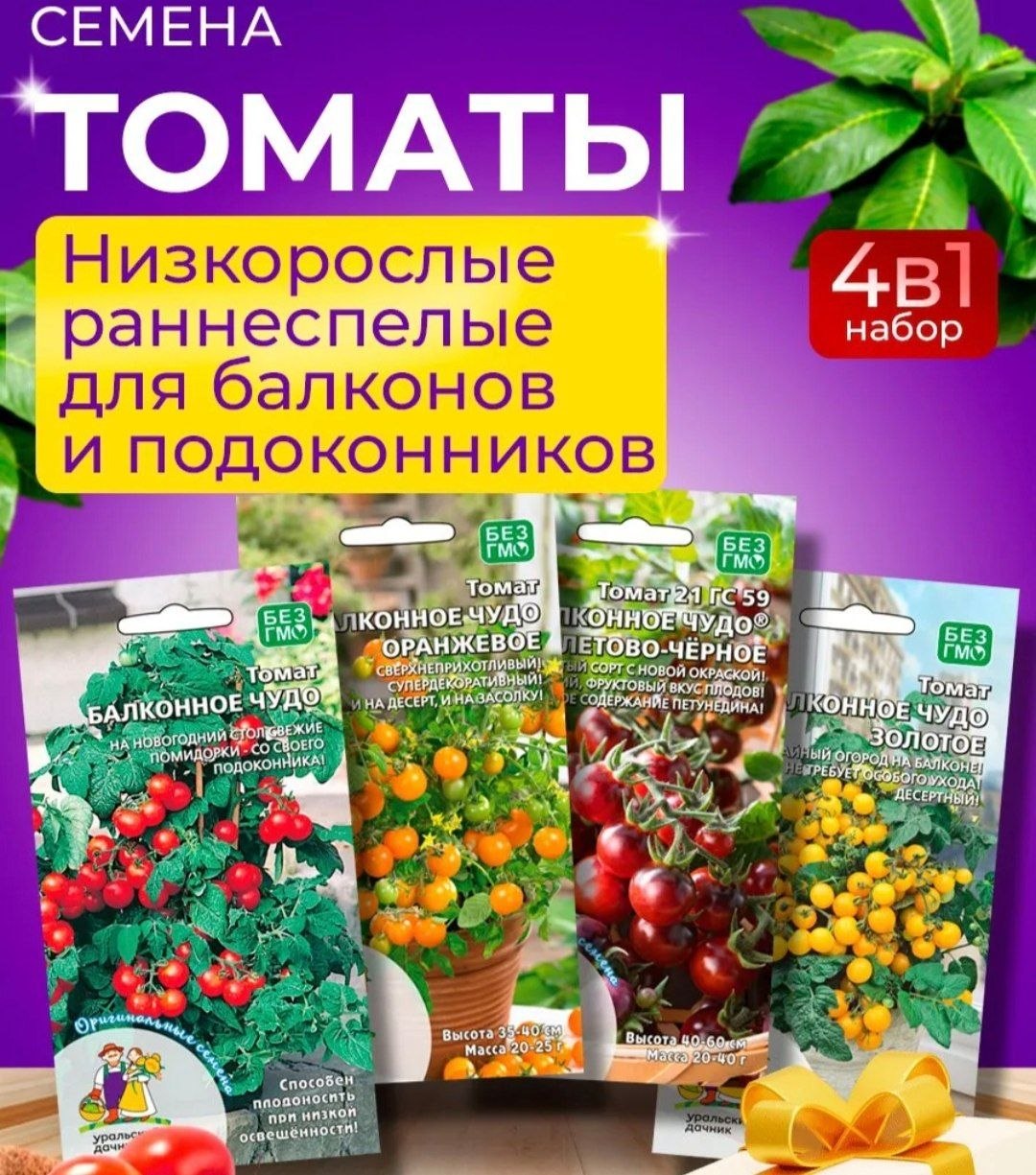 балконене домати photo 7