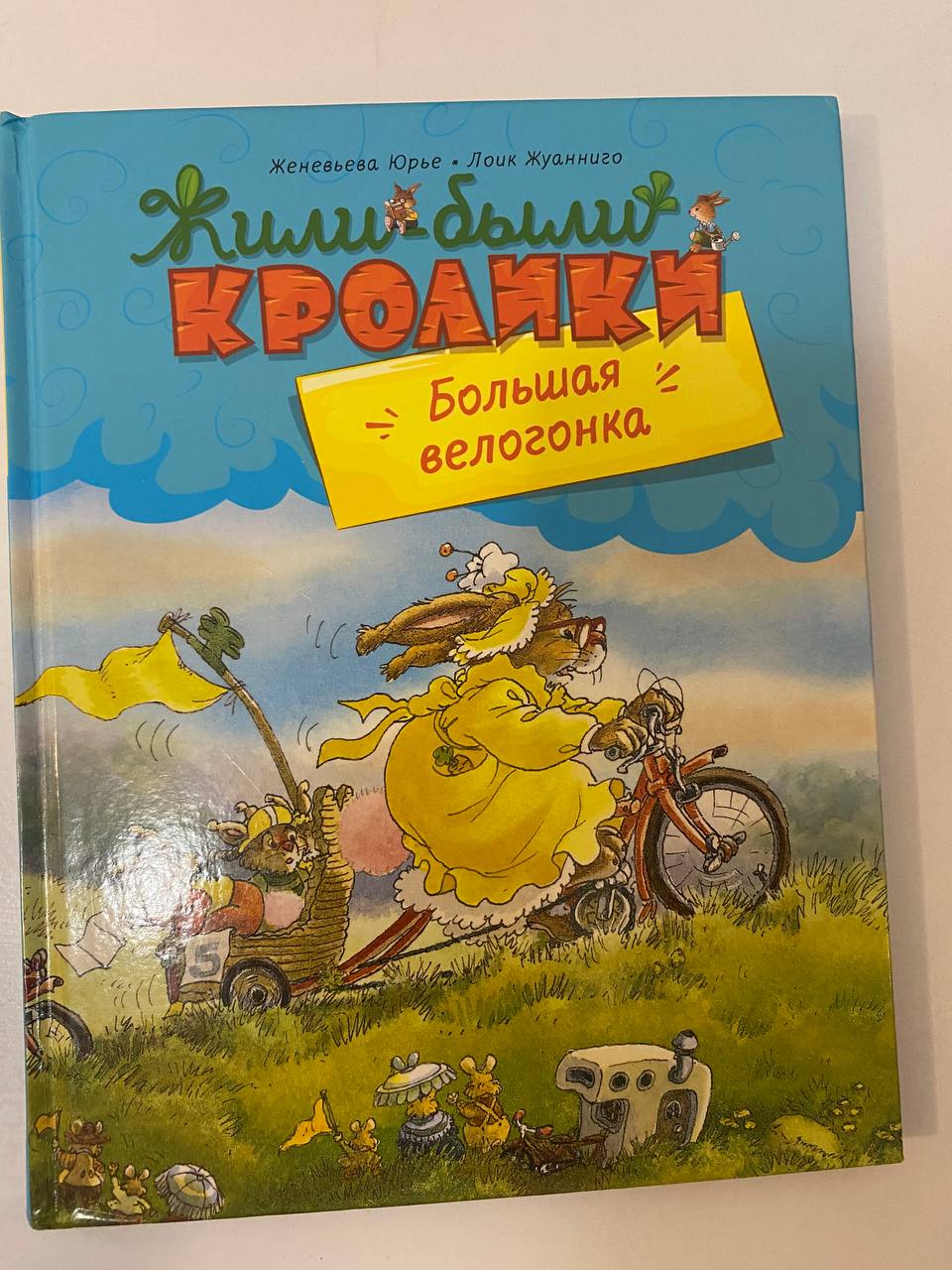 књига Вимблебух