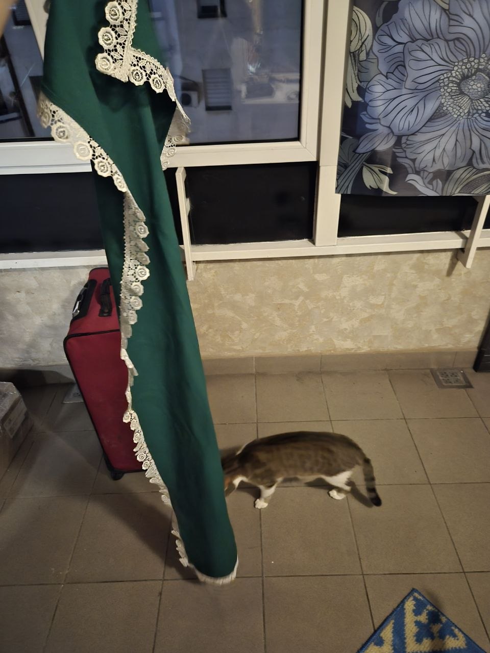 Плоча за столу