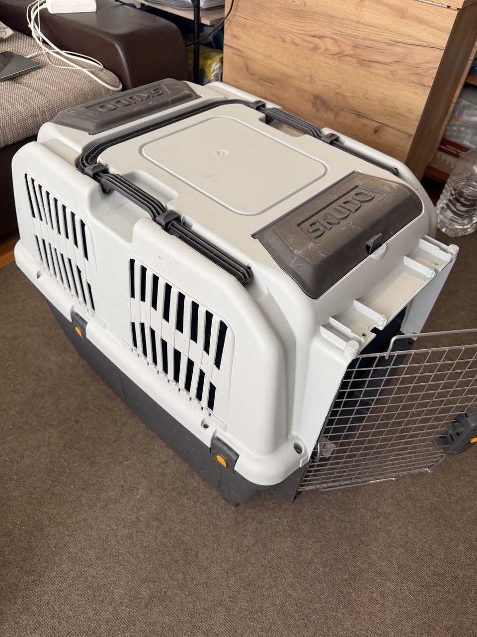 dog transporter - Transporter Skudo 5