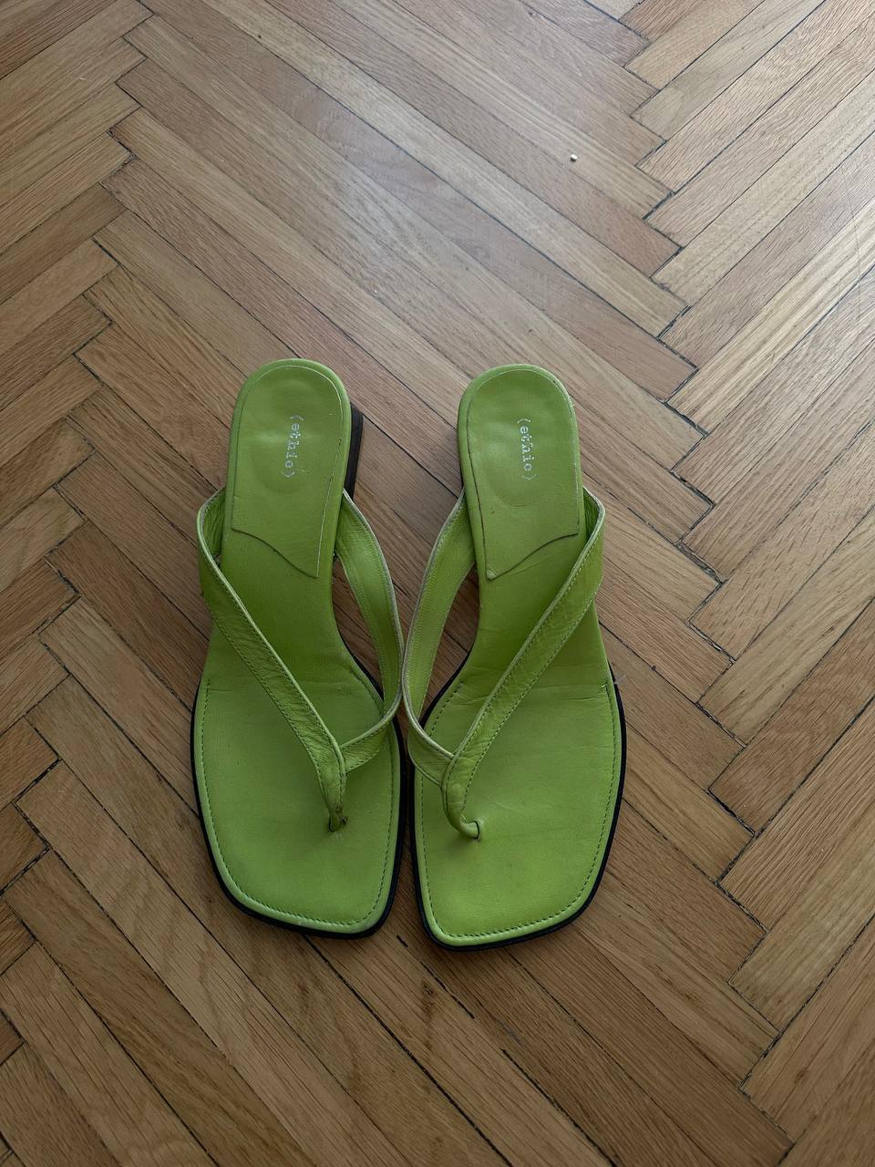 Travljane mule photo 2