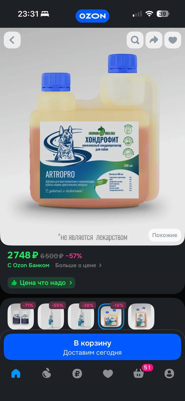 Chondrophid