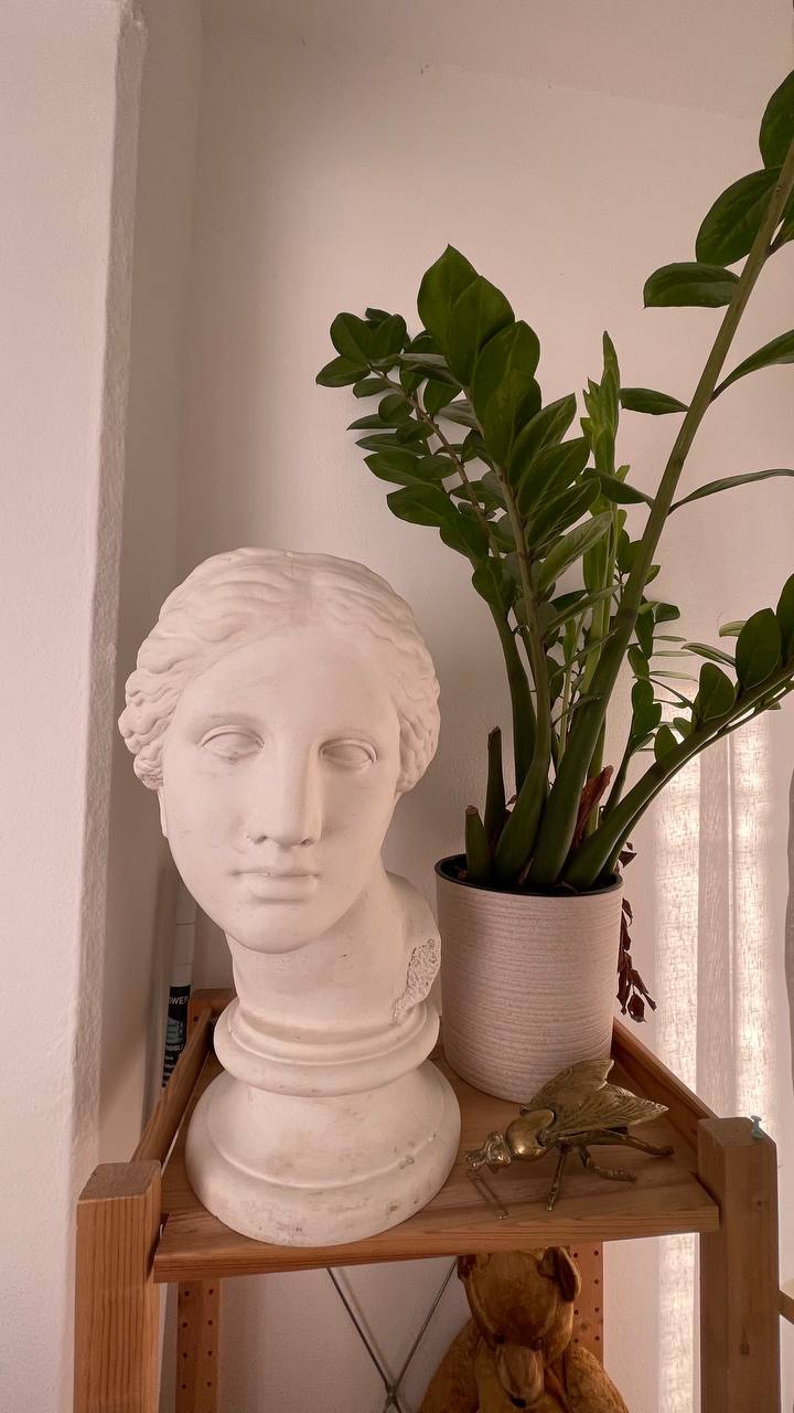 Гipsova glava Afrodite